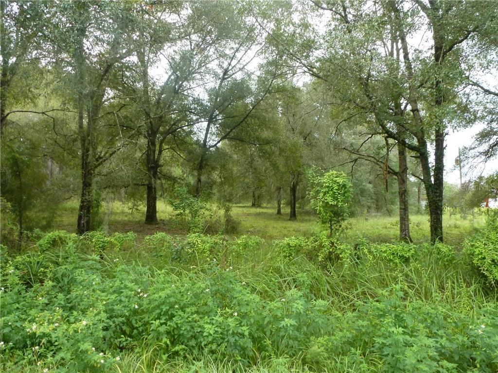 26048 Ash St., Brooksville, FL 34601