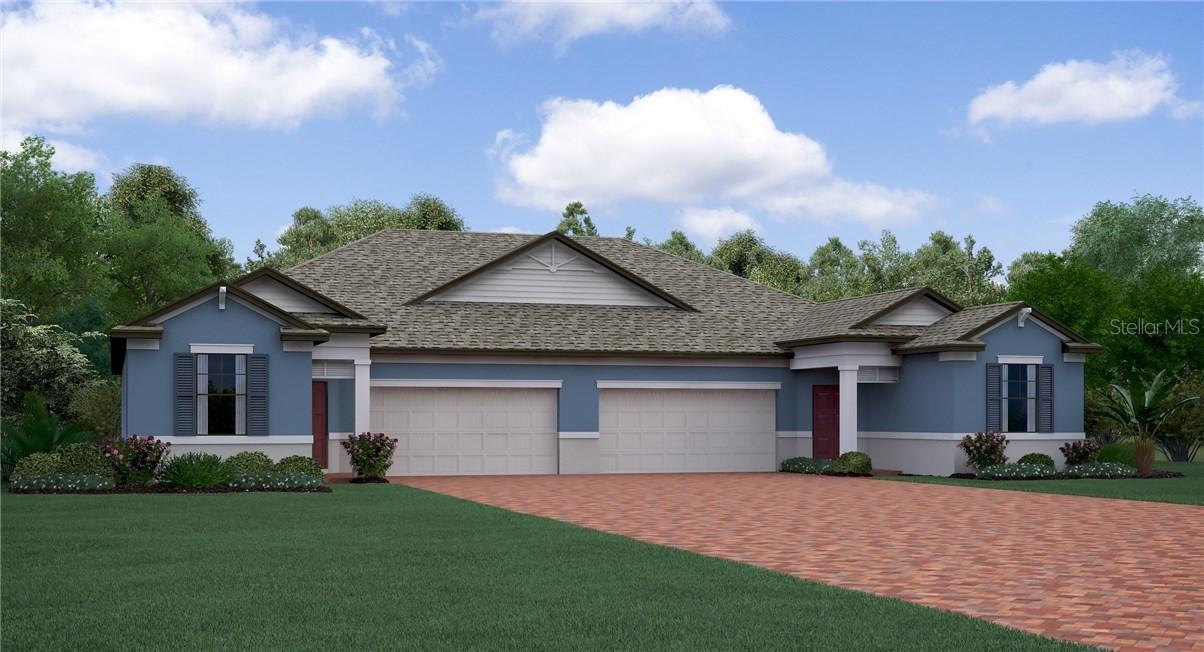 17100 Balance Cove, Land O Lakes, FL 34638