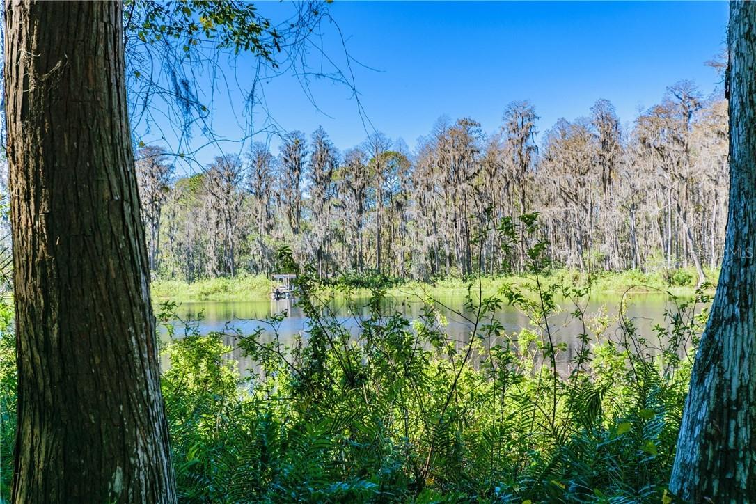 Darby Ln., Lutz, FL 33558