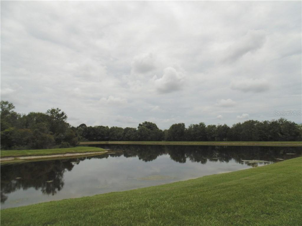 2826 Conch Hollow Dr., Brandon, FL 33511