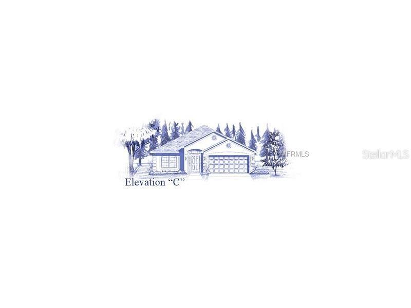 12244 Legacy Bright St., Riverview, FL 33578