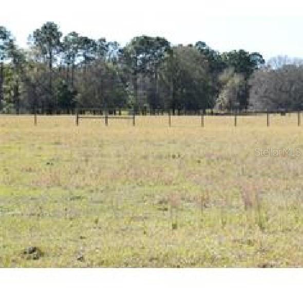 15016 Patterson Rd., Odessa, FL 33556