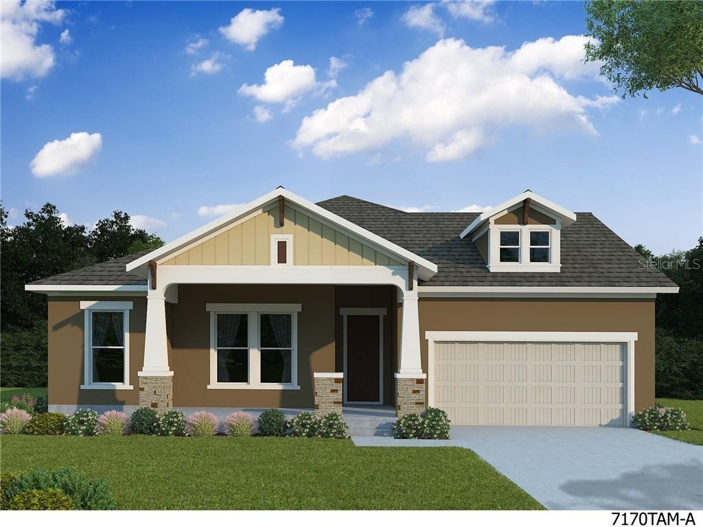 16807 Courtyard Loop, Land O Lakes, FL 34638