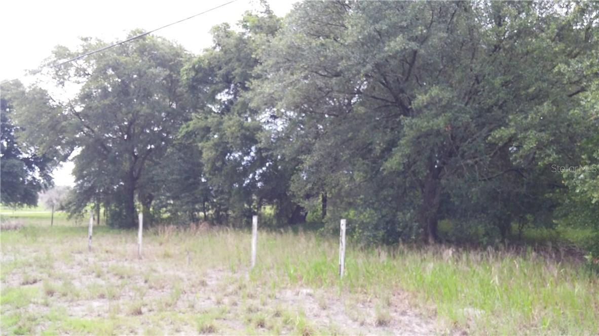 00 Mahoney Dr., Spring Hill, FL 34610