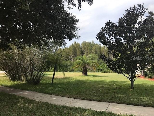 Sheehan Dr., Land O Lakes, FL 34638