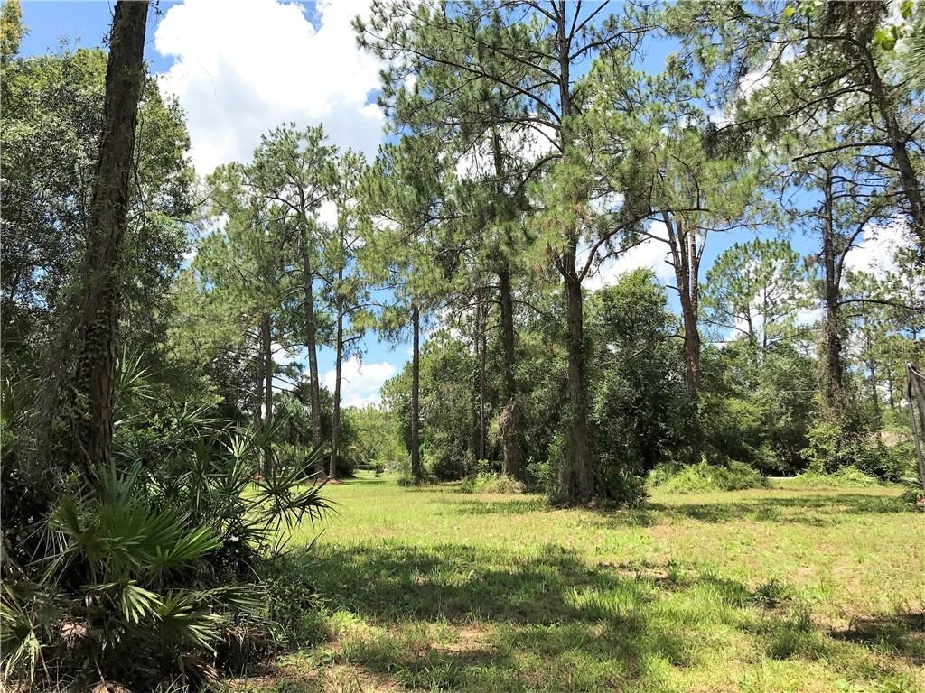 West Dr., Wesley Chapel, FL 33544