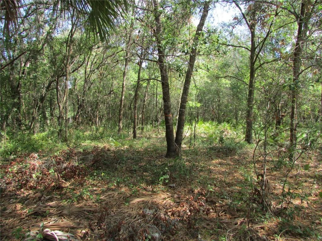 17302 Livingston Ave., Lutz, FL 33559