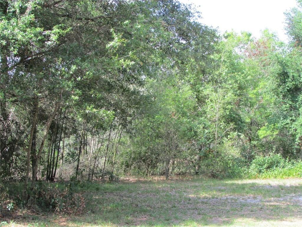 607 E Chapman Rd., Lutz, FL 33549