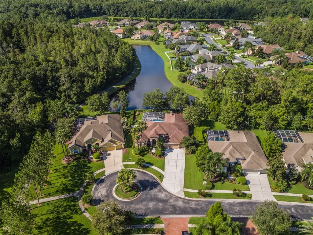 27746 Pine Point Dr., Wesley Chapel, FL 33544