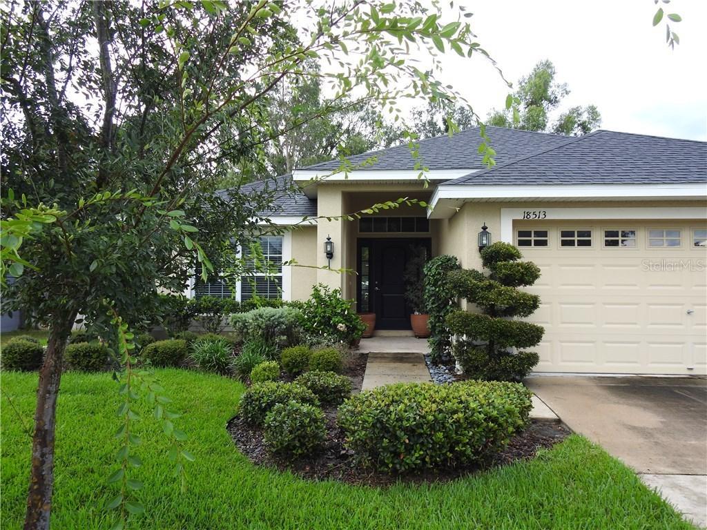 18513 Dajana Ave., Land O Lakes, FL 34638