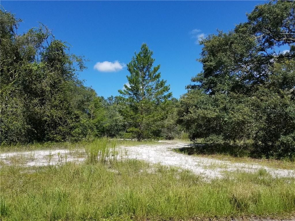 Murcott Way, Land O Lakes, FL 34638