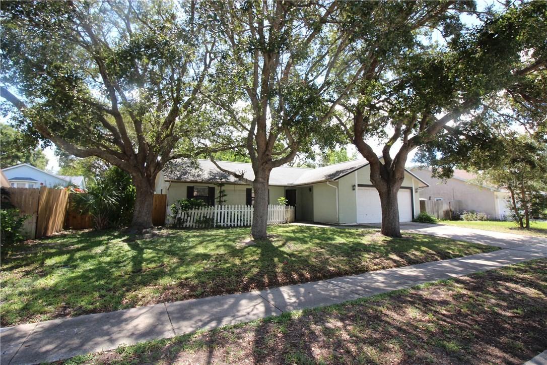 262 Myrtle Ct., Palm Harbor, FL 34683