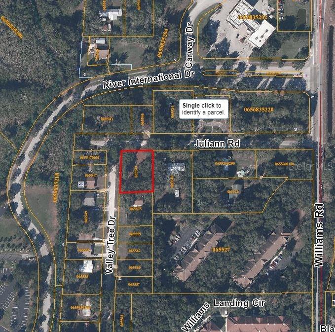 Valley Tree Dr., Tampa, FL 33610