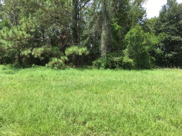 Chancellar Dr., Lutz, FL 33548