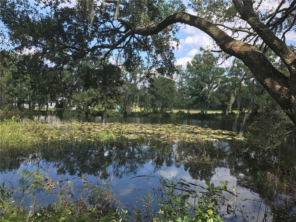 17005 Midas Ln., Lutz, FL 33549