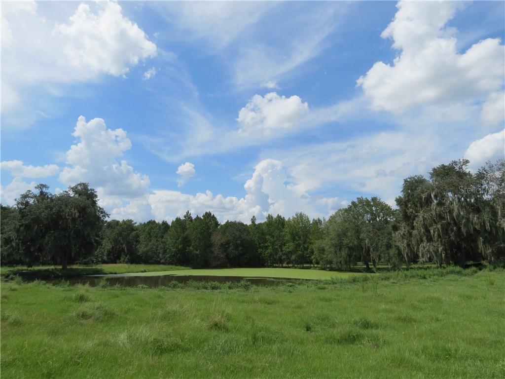 Southwood Oaks St., Lithia, FL 33547