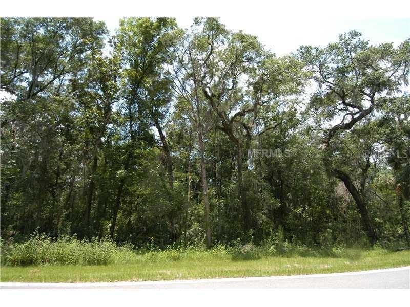 4702 Rambling River Rd., Brandon, FL 33511
