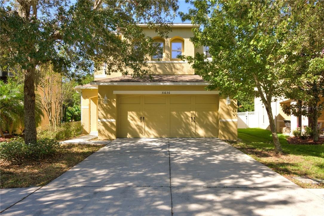 31636 Spoonflower Creek, Wesley Chapel, FL 33544