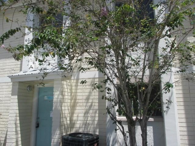 7905 Sunshine Palm Way, Tampa, FL 33615