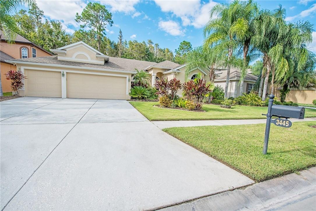 3445 Loggerhead Way, Wesley Chapel, FL 33544