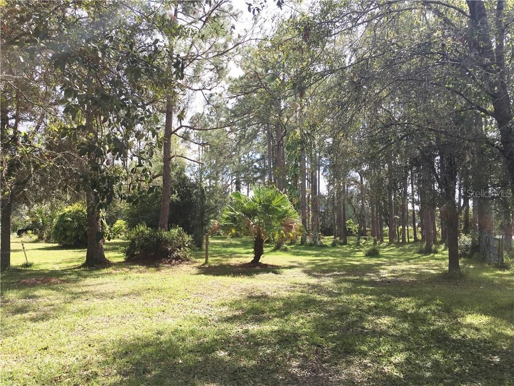 1518 Altamont Ln., Odessa, FL 33556