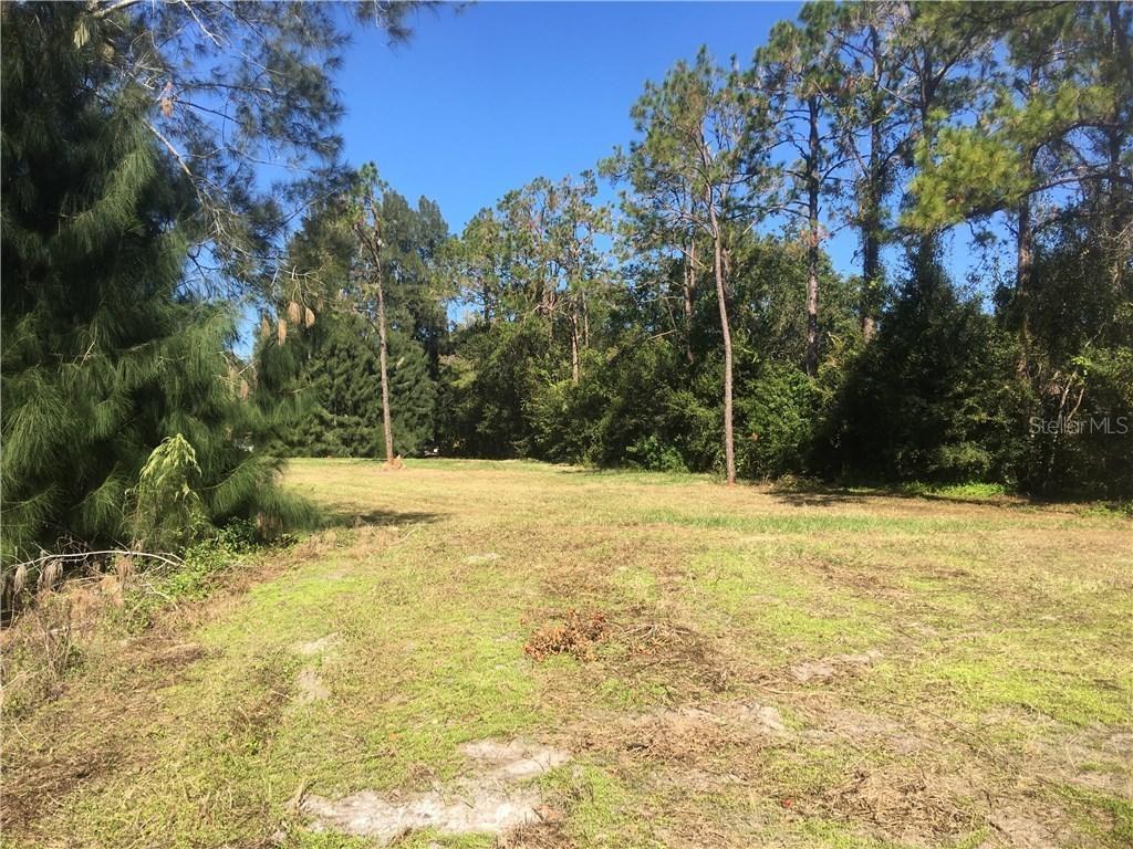 26923 Foamflower Blvd., Zephyrhills, FL 33544