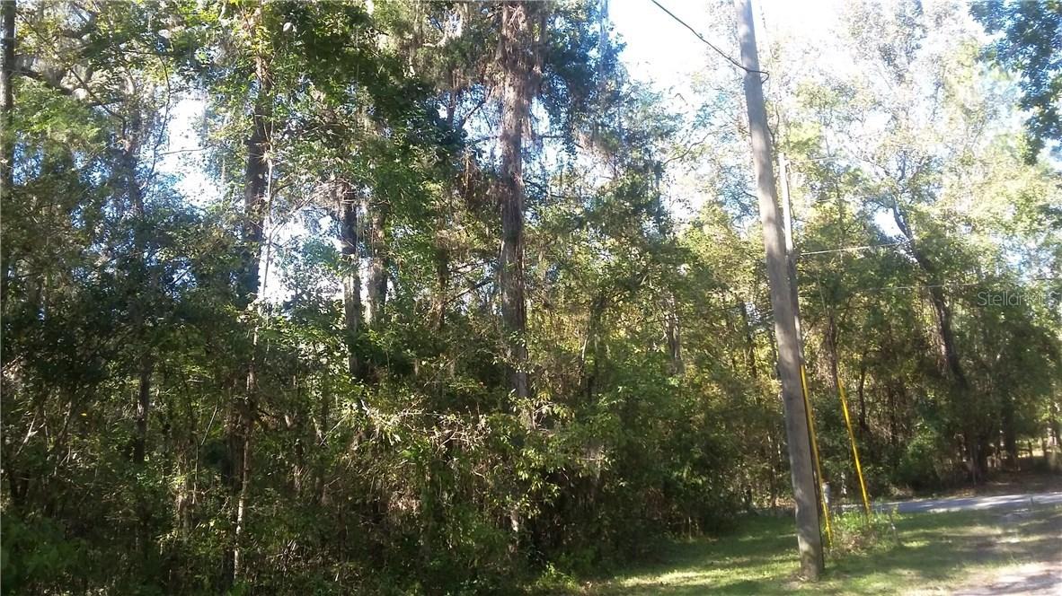 [Address Hidden by Seller], Brooksville, FL 34601