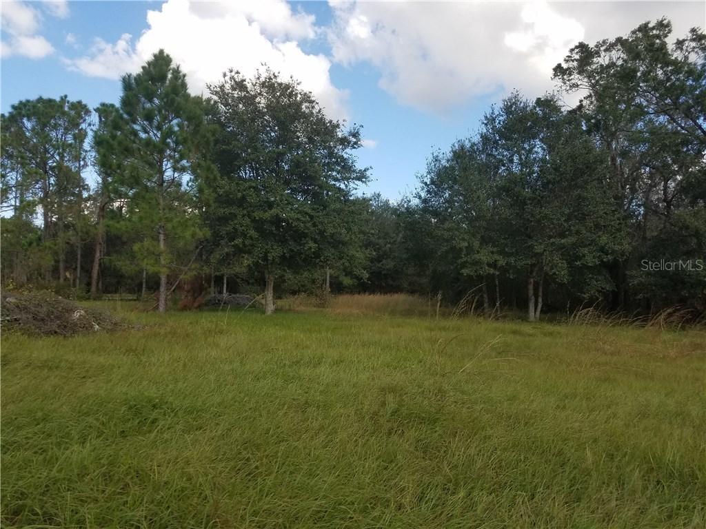 Medulla Rd., Lakeland, FL 33811
