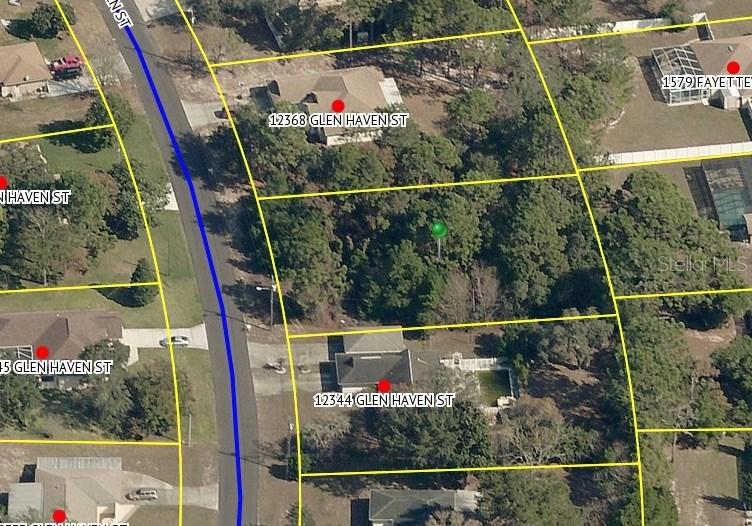 12356 Glen Haven St., Spring Hill, FL 34609