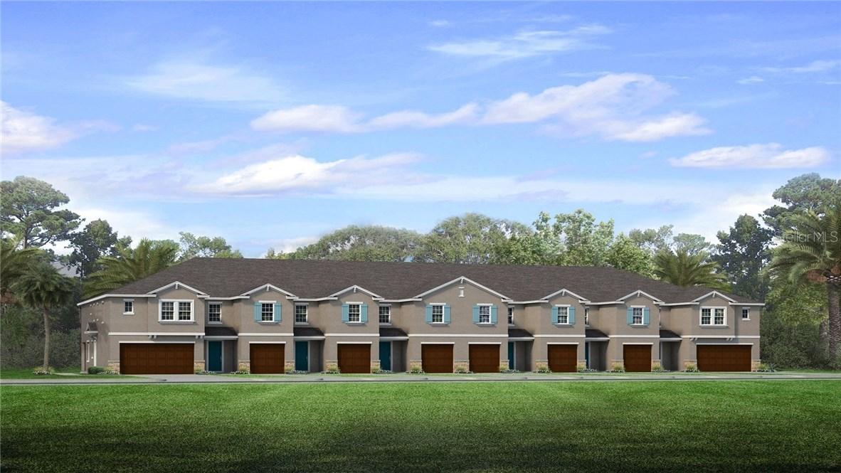 3307 Painted Blossom Ct., Lutz, FL 33548