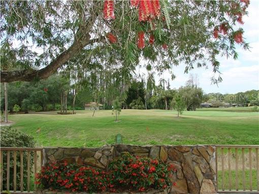 4207 Carrollwood Village Dr., Tampa, FL 33624