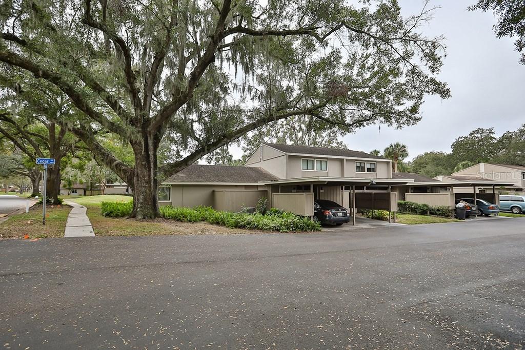 7913 Cedar Dr., Temple Terrace, FL 33637
