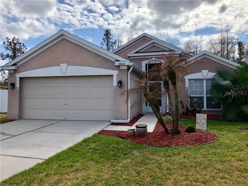29000 Old Marsh, Wesley Chapel, FL 33543