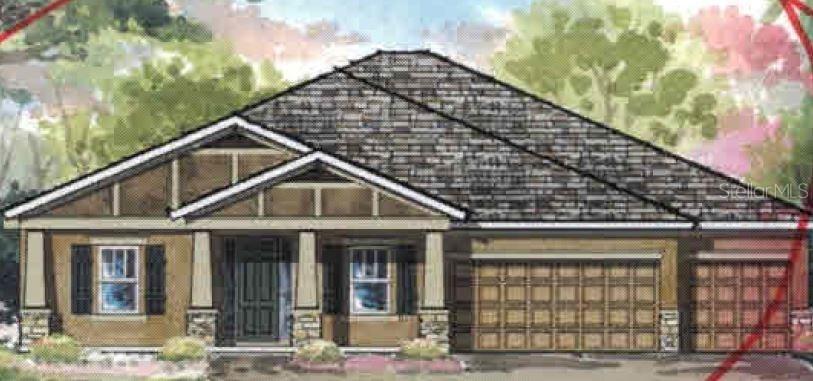 21906 Butterfly Kiss Dr., Land O Lakes, FL 34637