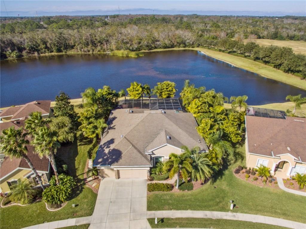 2419 Tarragon Ln., New Port Richey, FL 34655