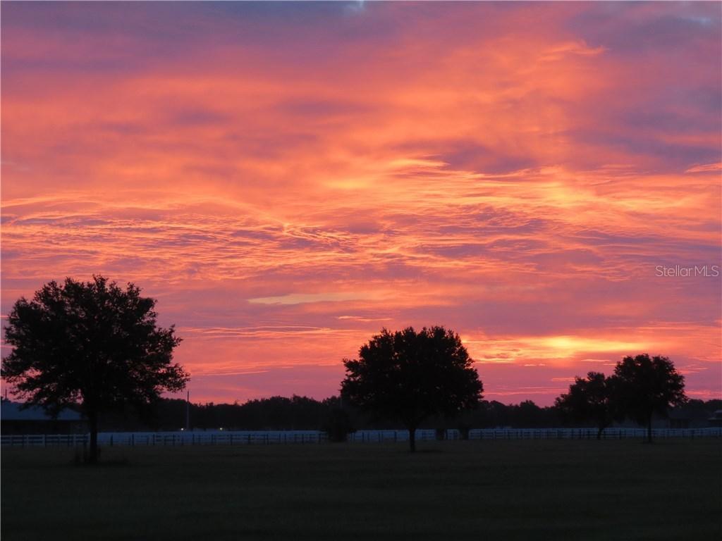 Browning Rd., Lithia, FL 33547