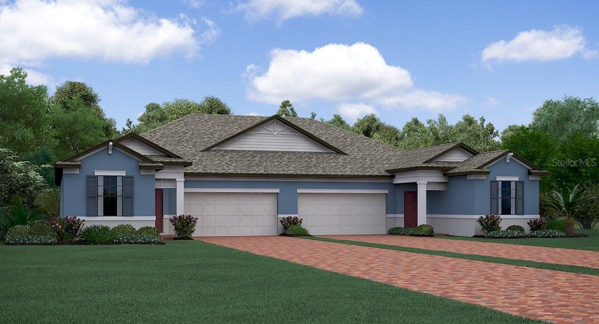17054 Balance Cove, Land O Lakes, FL 34638