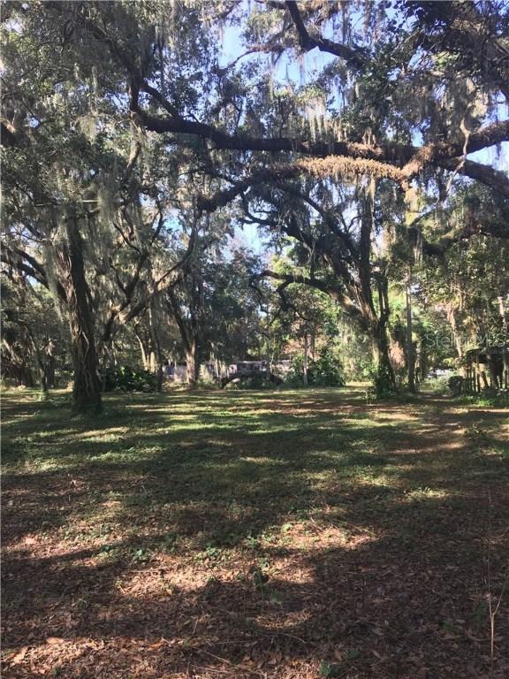 2325 Indian Hollow Tr., Seffner, FL 33584