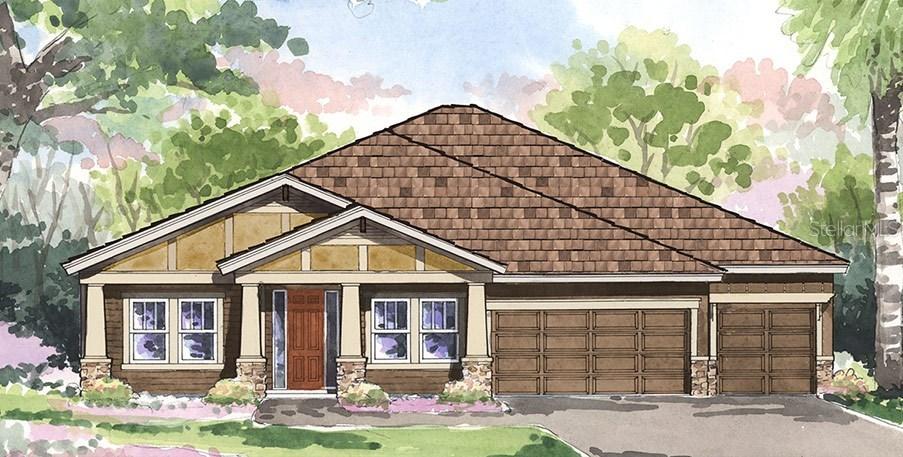 8101 Water Color Dr., Land O Lakes, FL 34638