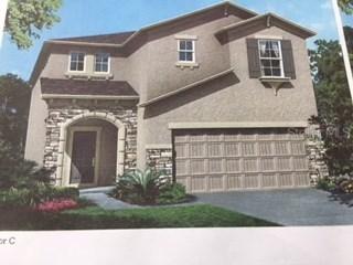 19463 Roseate Dr., Lutz, FL 33558