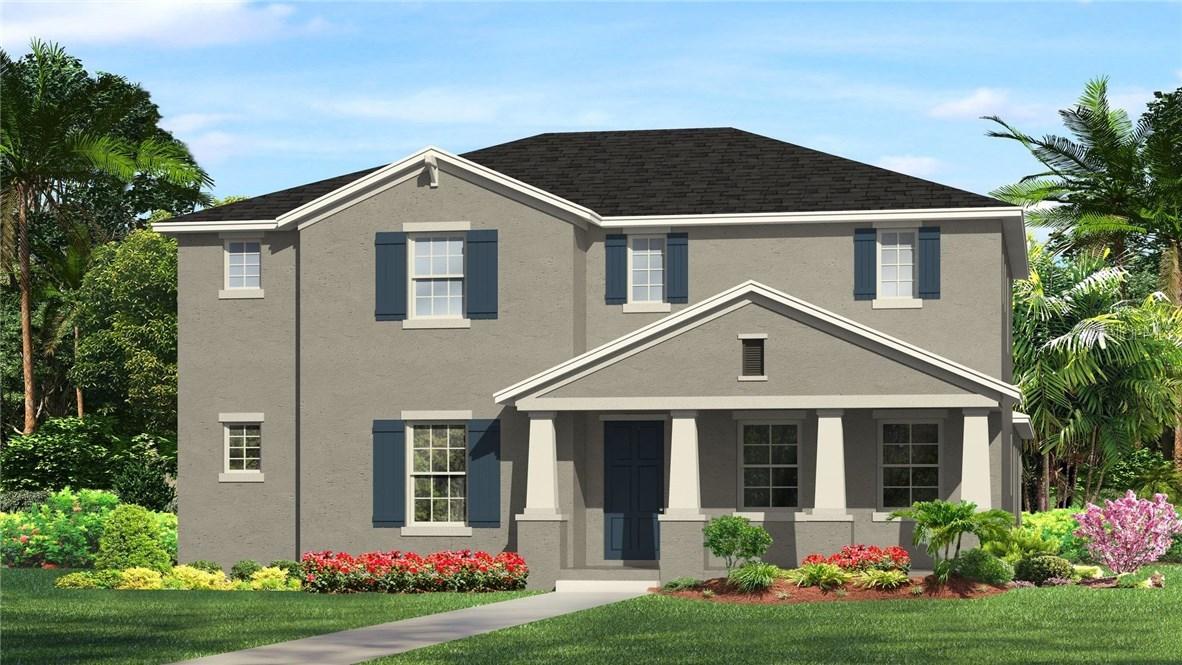 17271 Cinnamon Fern Way, Land O Lakes, FL 34638