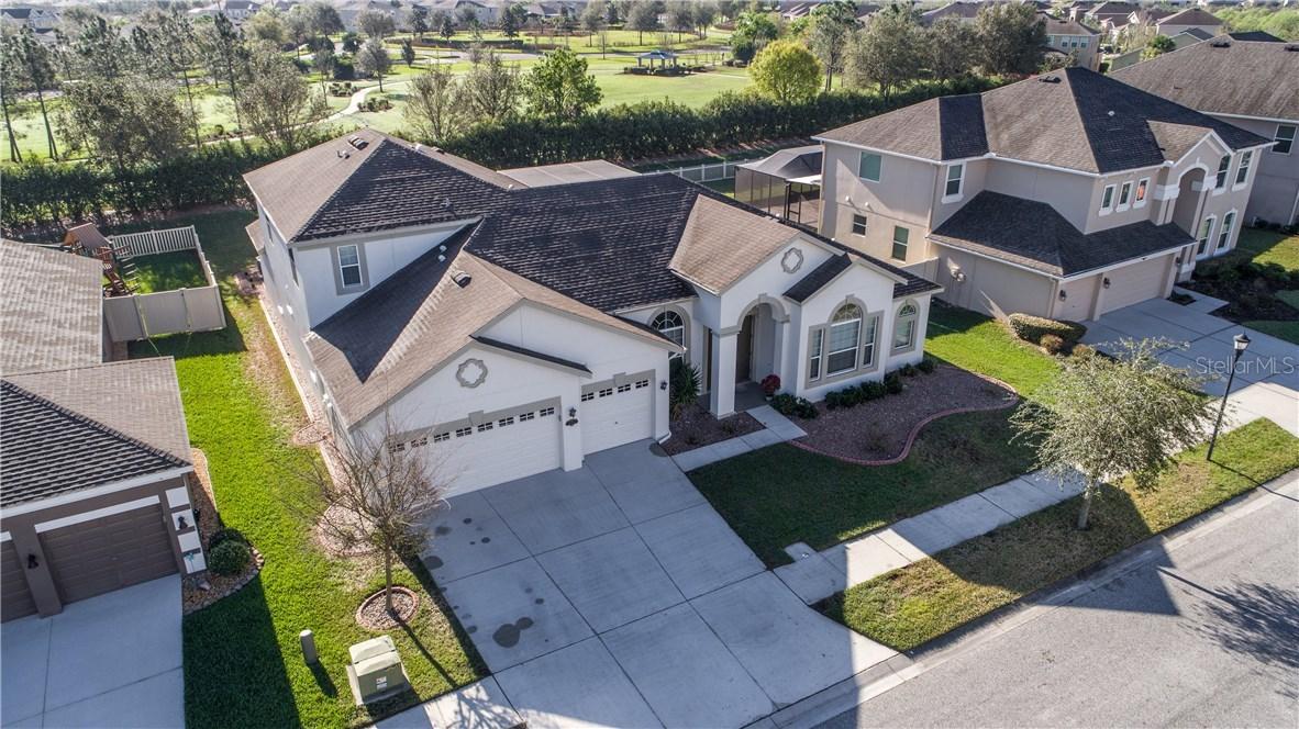 20260 Ravens End Dr., Tampa, FL 33647