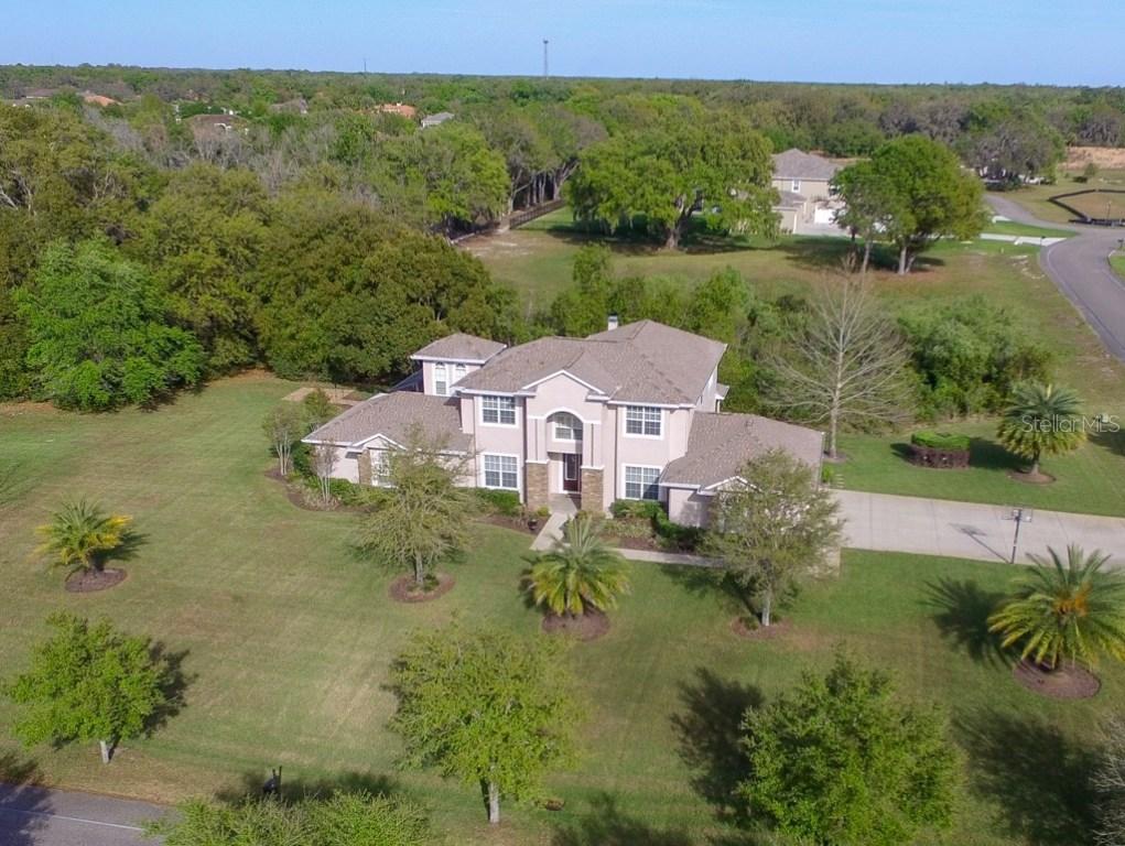 19401 Jacobs River Run, Lutz, FL 33559