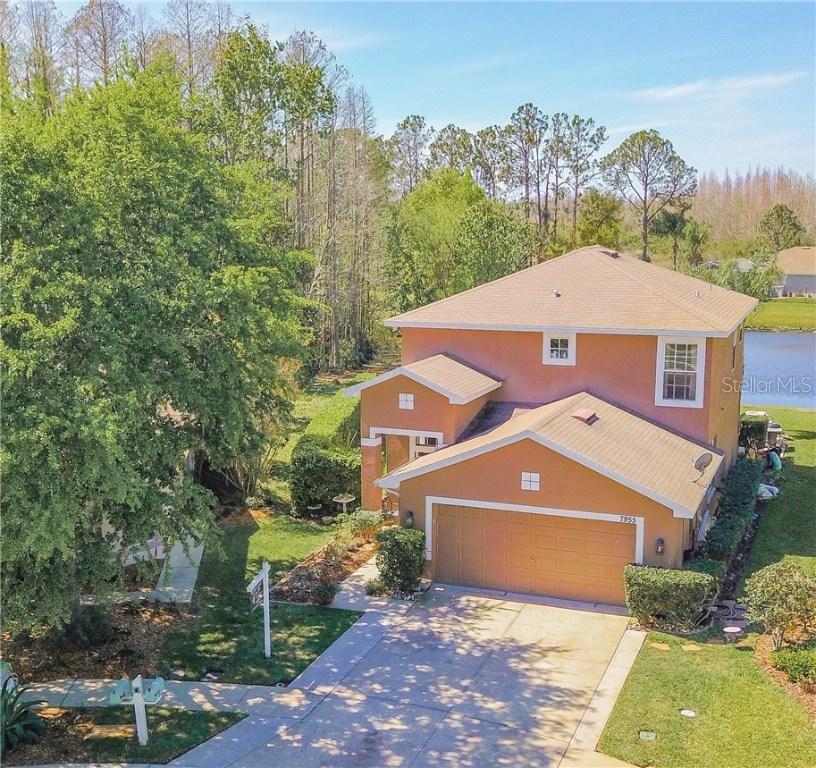 7955 Endless Summer Ct., Land O Lakes, FL 34637