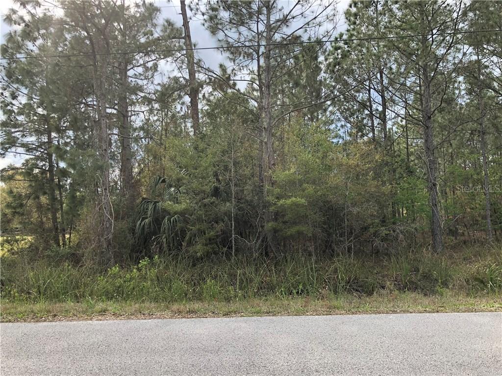 Drifting Sand Dr, Zephyrhills, FL 33544