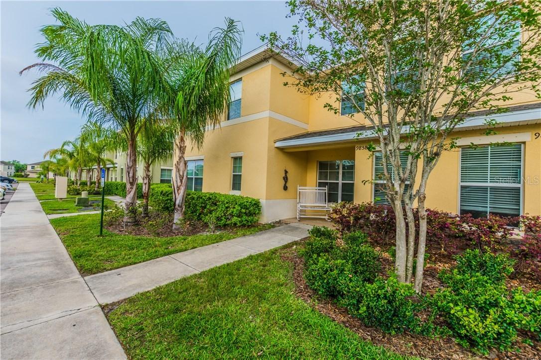 9858 Trumpet Vine Loop, Trinity, FL 34655