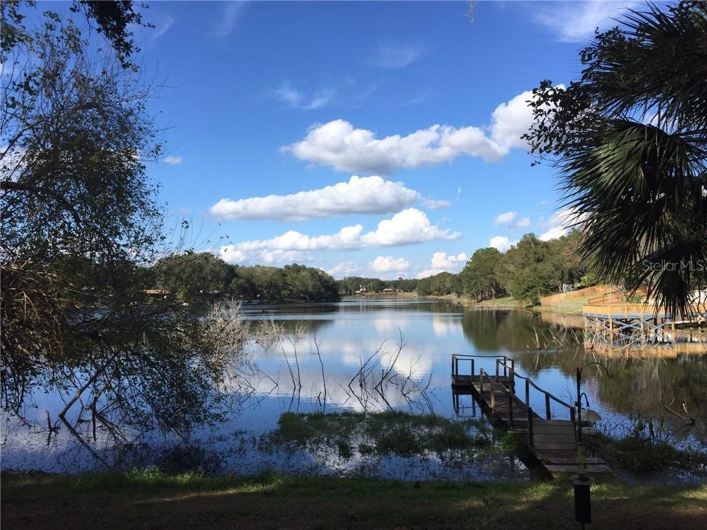 1308 Sinclair Hills Rd., Lutz, FL 33549