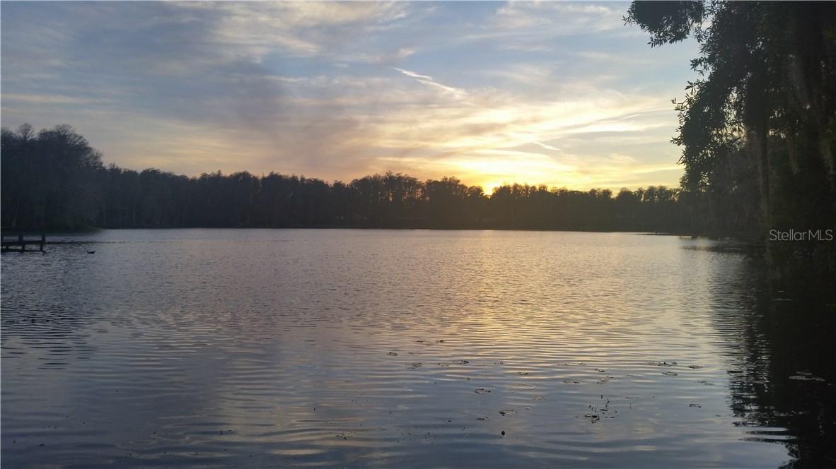 3512 & 3510 Crenshaw Lake Rd., Lutz, FL 33548