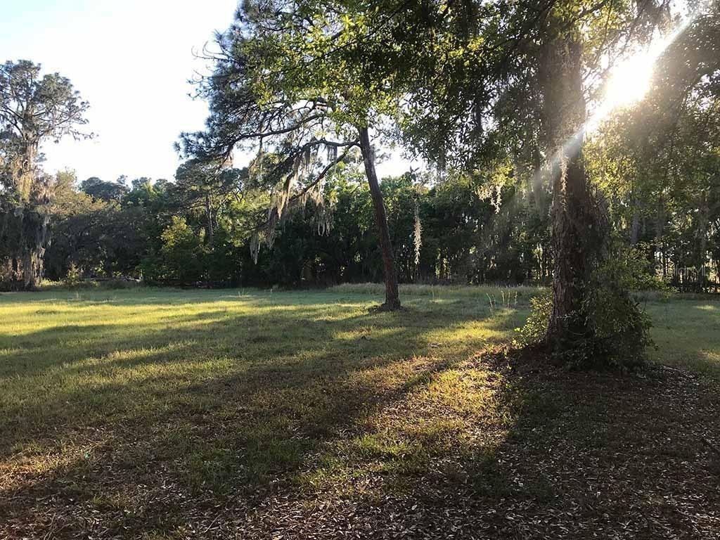 Lot 0 Revels Rd., Riverview, FL 33569