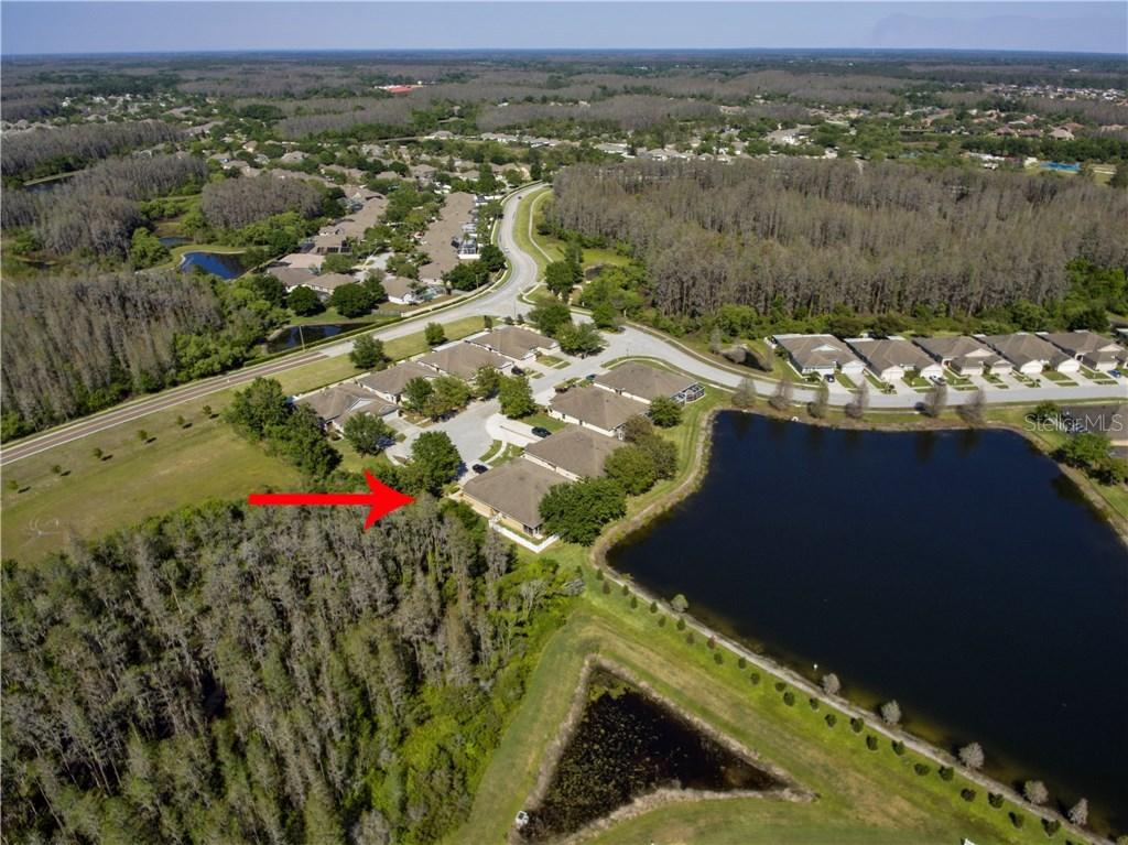 19228 Barred Owl Ct., Land O Lakes, FL 34638